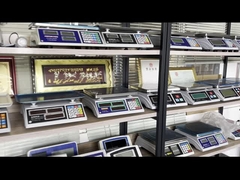 WALL-E sàn cân nền tảng thép không gỉ sàn cân Weighbridge Truck Scale